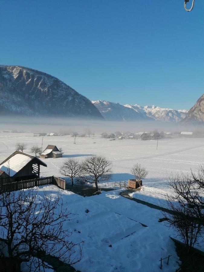 Apartment Cvetek Janez Bohinj Exteriér fotografie