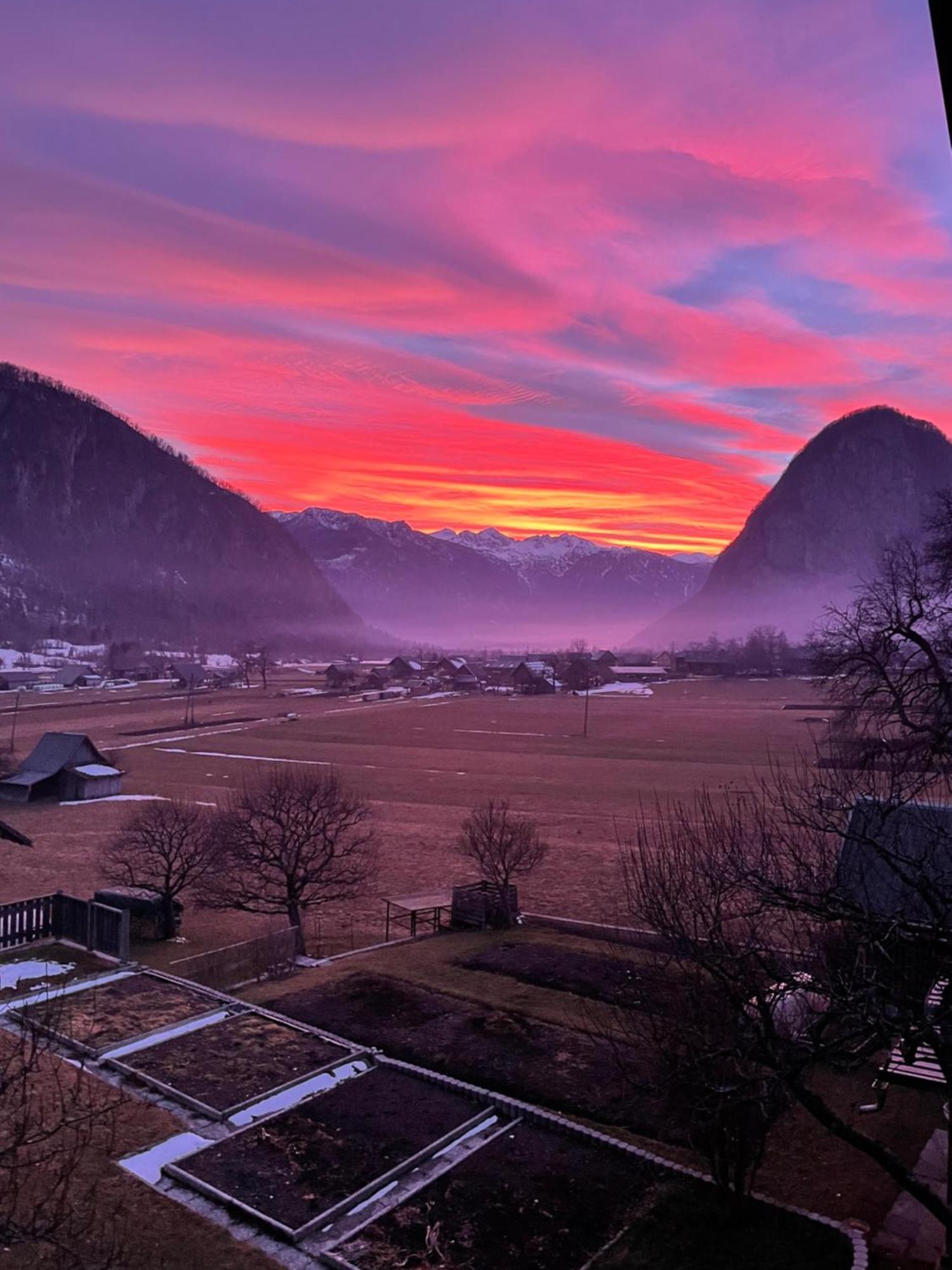 Apartment Cvetek Janez Bohinj Exteriér fotografie